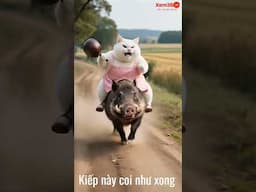 Kiếp này coi như bỏ #videoshort #haihuocvuinhon #shortvideo #aishort
