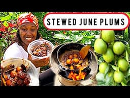 Jamaican STEWED JUNE PLUMS🇯🇲Fresh From My Thriving Food Forest!