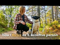 Quiet life in Scotland 🫖 healthy food, bookish chat, nature walks & junk journaling 🎨🍃📙
