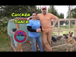Adding Chickens to our off grid Alaska Homestead