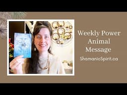 May 3-9, 2025: Weekly Power Animal Message And Crystal Healing Talisman. Cat symbolism
