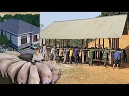 After many years of profitable pig farming, Kieu had the money to build her dream house. ( Ep 351 )