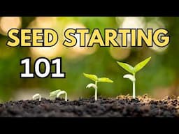 grow GREAT seedlings at home FAST! / Seed Starting 101