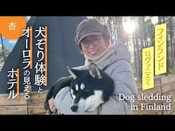 フィンランド🇫🇮北極圏旅行！犬ぞり＆オーロラの見えるホテルへ！【Dog Sledding in Finland】