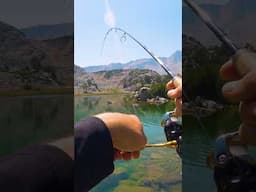 This Fishing Spot Was HEAVEN on Earth!