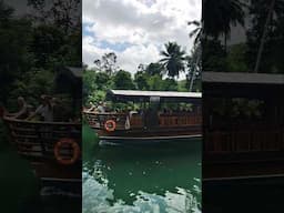 Loboc River Cruise Bohol, Philippines #bohol #Philippines #travel #vacation #cruise #lobocriver