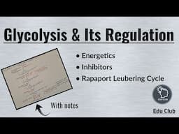 Glycolysis | Regulation | Energetics || Carbohydrate metabolism || Biochemistry