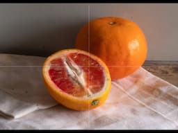 Friday Live: Blood Oranges oil painting demonstration: light and shadow colours for intense oranges