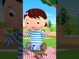 How Many Pets are in the Park? 🐶 #counting #babyanimals #littlebabybum