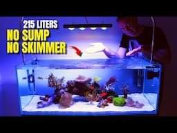 AQUASCAPING NEW 56 GALLONS REEF TANK | Simple Saltwater Aquarium No Sump No Skimmer