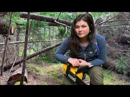 Building a Trail at My Remote Cabin (Alone in Grizzly Territory)