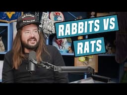 Rabbits Are Basically Fancy Rats | Dusty Slay