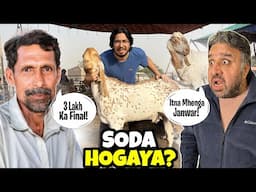 4 Lakh Kay Bakray Ka Sauda Ho Gaya? 😳 | Mandi Ki Mehngai Se Sab Gussa Ho Gaye!! 😓