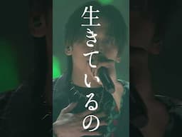 「アンノウン・マザーグース」Gero LIVE 日本武道館 #gero #アンノウン・マザーグース #歌い手 #shorts