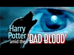 Harry Potter amid the 'Bad Blood'