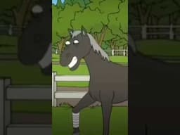 Why do they euthanize horses with broken legs? #eascience #science #horse