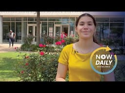 Multicultural Day is this Saturday | Hear why events like this make HISD a true melting pot