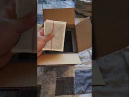 Combining Heat Packs, Gel Packs, & Cold Packs for the most comfortable trip for your Gecko..