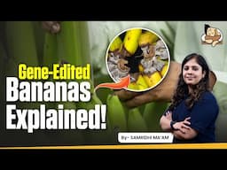 How Gene-Edited Bananas Reduce Food Waste?