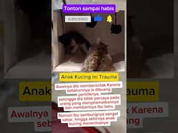 Ibu sambungnya sabar banget 😭😅🥹😅🥲🥰