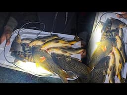 CARPS FISHING SECRET HOW TO CATCH BIG CARPS WHERE A GIANT CROCODILE LIVES