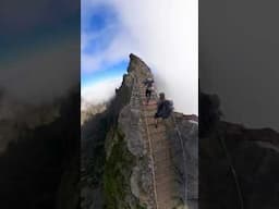 The INCREDIBLE Stairway to Heaven on Madeira Island in Portugal #madeiraisland #madeira #hiking