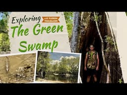 Adventures in The Green Swamp (Withlacoochee Cypress)
