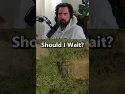 Play Early Access Games?