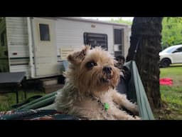 Camping Season Has Started! | Come relax outdoors for the first camping trip of the year.