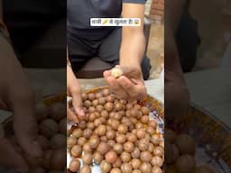 चाबी 🔑 से खुलने वाला Dry Fruit! 😱😱 #dryfruits #nuts #superfood #healthy #shorts