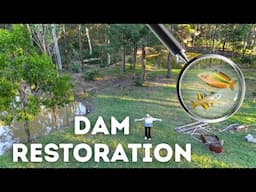 Building a NATIVE FISH Habitat in my Dams!