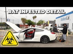 How To Sanitize and Remove Odor - Aesthetic Auto Detailing