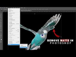 Remove matting photoshop | adobe Photoshop 2023