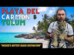 Playa del Carmen - Everything you MUST do in Mexico’s hottest beach destination