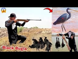 Most Expensive Bird Black Bugla Ka Shikar Kiya😱 Or Bhot Sary Paker Leay😍