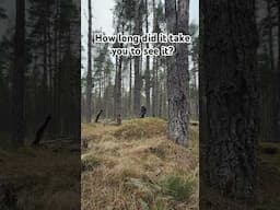 How long did it take you to spot the photographer?