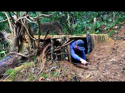 Building an underground shelter and take on the challenge in the wild jungle alone