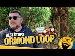8 Best Stops on Florida’s Ormond Scenic Loop You Can’t Miss!