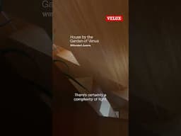 This Tool Shows a Year of Sun in Minutes! VELUX Daylight Visualizer #architecture