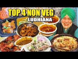 Best Non Veg Ludhiana | Best Zhatka Biryani |  Amritsari Masala Fish Tail | Punjabi Tawa Mutton
