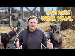 BIG MISTAKE bringing home the NIGERIAN DWARF GOATS…lesson learned (the hard way)