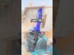 MR BEAST UP 900% ON THIS CS SKIN!!