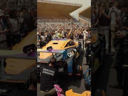 The Le Mans 2025 Grid Walk