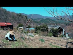 봄의 기운을 가득 느낄 수 있는 산골생활~!!