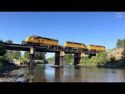 Trains of Denver: BNSF and Union Pacific