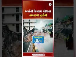 Amreli | અમરેલી જિલ્લામાં ધોધમાર વરસાદથી મુશ્કેલી | Rain | Weather Update | Gujarat | Shorts
