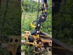 544 Harvesting Head in Quebec  #tigercat #forestry #logging