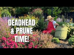 Working in the Garden: Deadheading, Pruning & Cleaning Things UP!