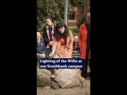 What is the Lighting of the Wilin?