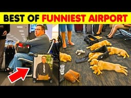 The Best Of Funniest Photos Taken At Airports